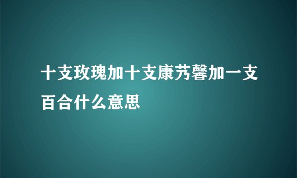 十支玫瑰加十支康艿馨加一支百合什么意思