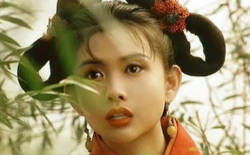 倚天屠龙记美女众多，小昭令人印象深刻，波斯的明教总教主小昭最后去哪了？