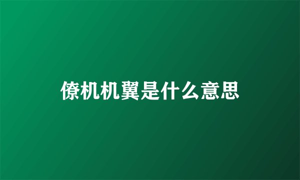 僚机机翼是什么意思