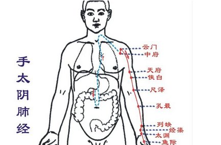 人体的笑穴在哪里