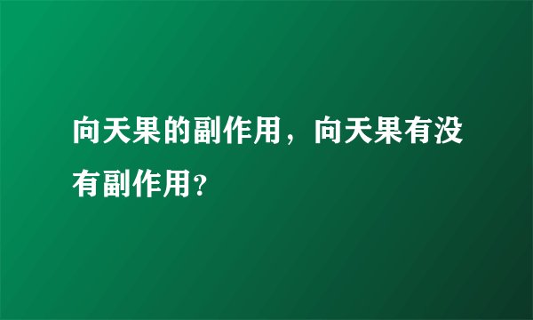 向天果的副作用,向天果有没有副作用?