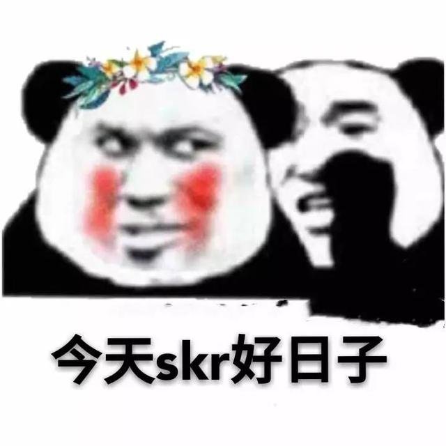 skr到底是个啥意思
