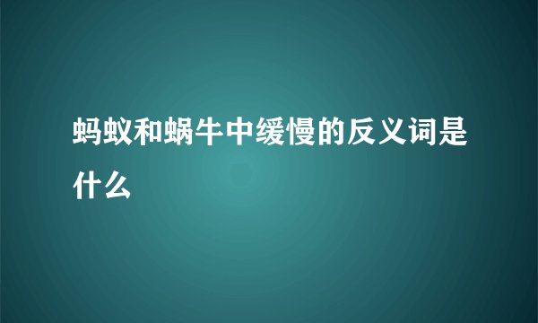 蚂蚁和蜗牛中缓慢的反义词是什么