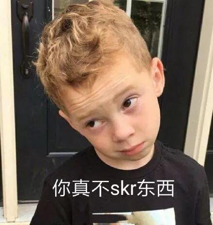 skr到底是个啥意思