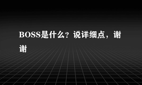 BOSS是什么？说详细点，谢谢