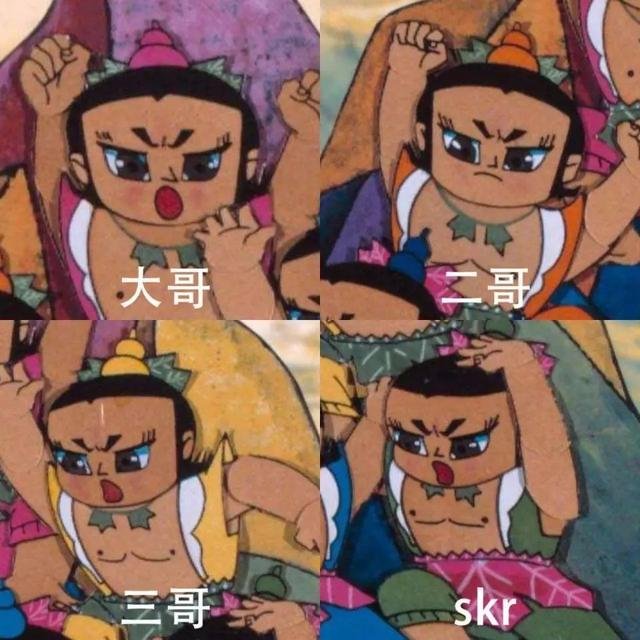 skr到底是个啥意思