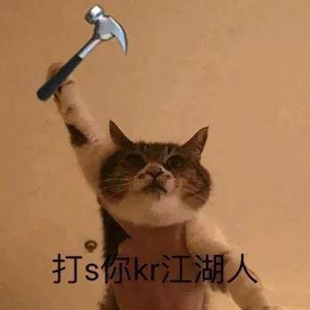 skr到底是个啥意思