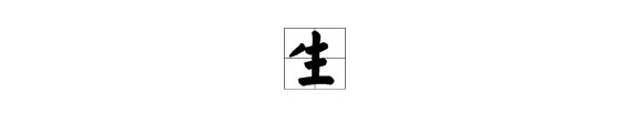 生字部首是什么？