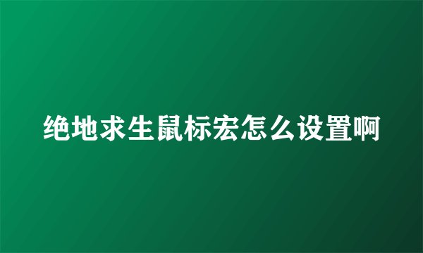 绝地求生鼠标宏怎么设置啊