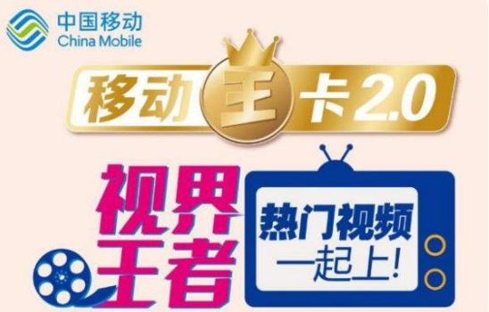 中国移动大王卡30G定向流量免流详细范围？