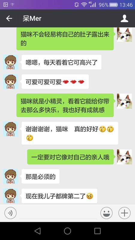 买猫去哪里买
