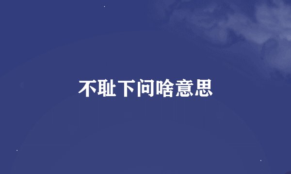 不耻下问啥意思