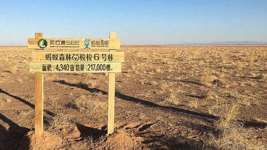 每年投几个亿!蚂蚁辟谣蚂蚁森林是赚钱项目，这真的是个公益项目吗？