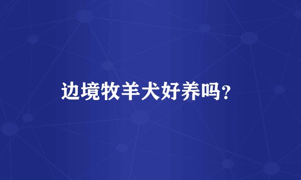 边境牧羊犬好养吗？