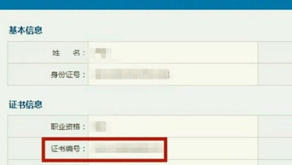全国道路运输资格证电子查询系统?