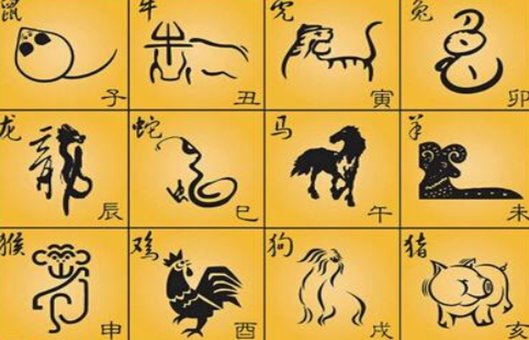 野肖有哪些生肖？