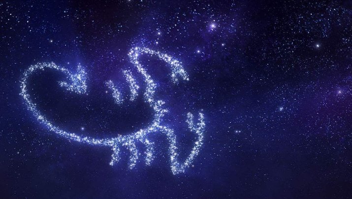 11.12是什么星座