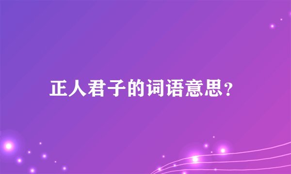 正人君子的词语意思？