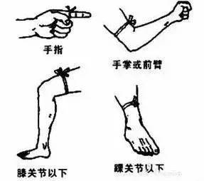 银环蛇和金环蛇谁更毒,