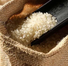 四大品牌的五常大米都吃过的举个手，最推荐哪个？