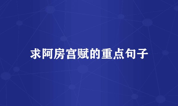 求阿房宫赋的重点句子