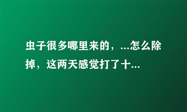 虫子很多哪里来的，...怎么除掉，这两天感觉打了十几个还是有。
