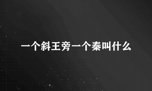 一个斜王旁一个秦叫什么
