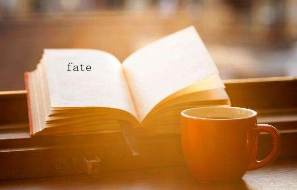 fate中文意思