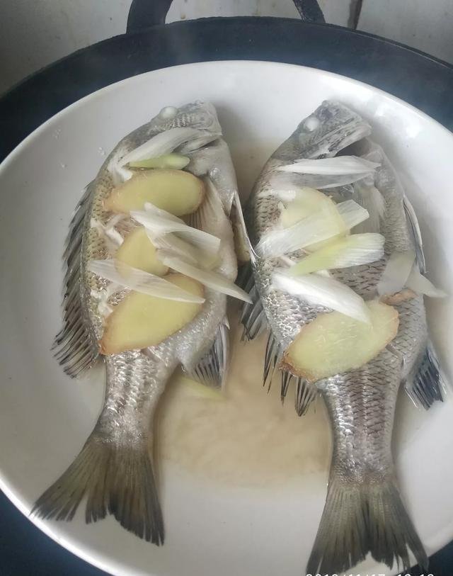 海边农民捕到的黑鲷鱼和黄鲷鱼为什么价格相差那么大,两者有什么差别吗?