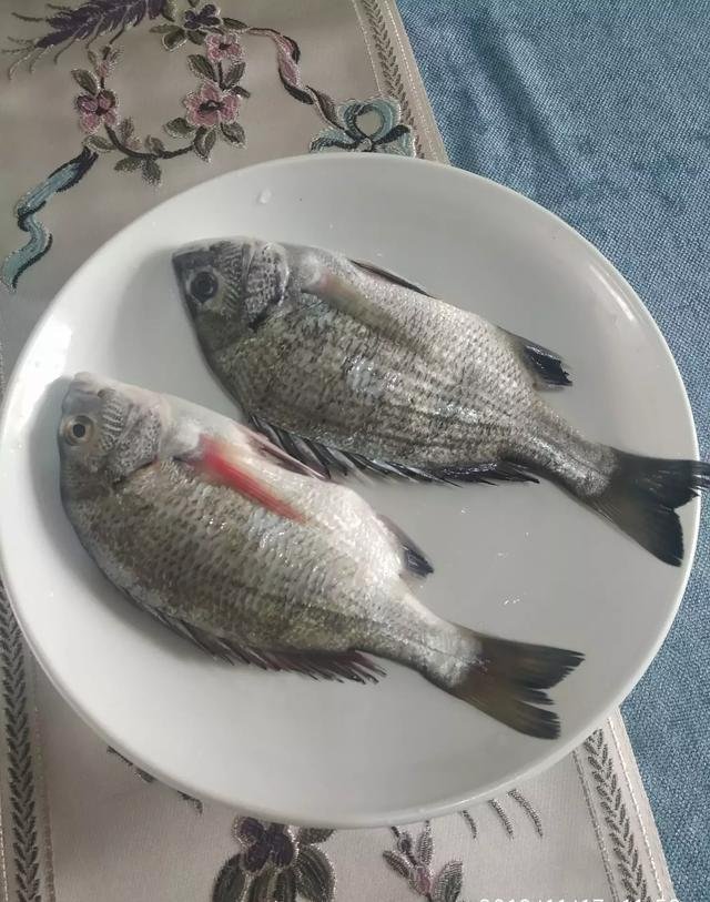 海边农民捕到的黑鲷鱼和黄鲷鱼为什么价格相差那么大,两者有什么差别吗?