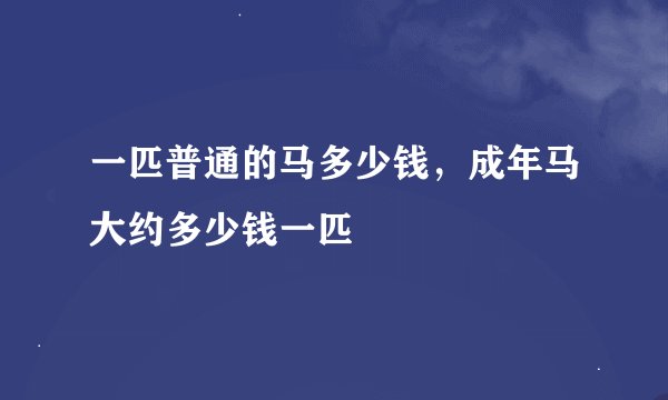 一匹普通的马多少钱,成年马大约多少钱一匹