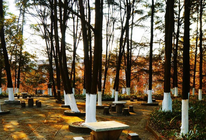 如何评价西南科技大学?