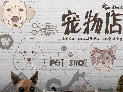 开宠物店究竟赚不赚钱