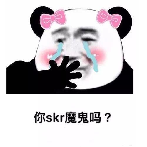 skr到底是个啥意思