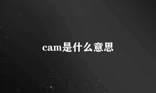 cam是什么意思