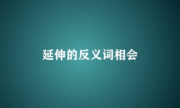 延伸的反义词相会