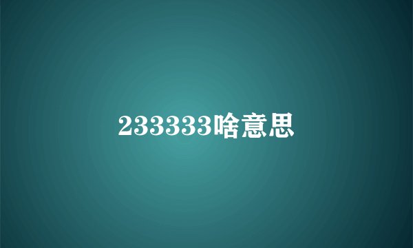 233333啥意思
