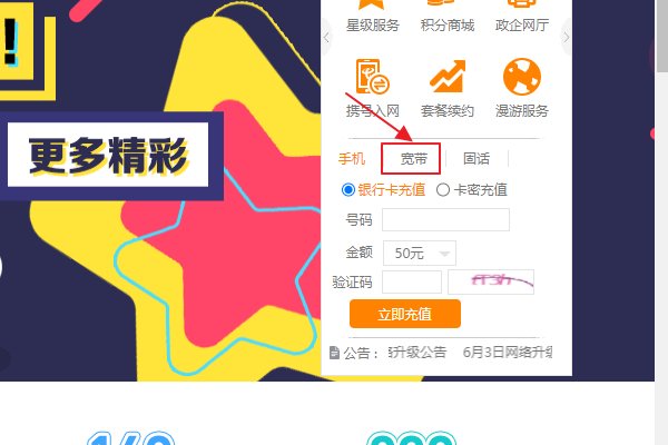 怎样用电信宽带在网上缴费呢？