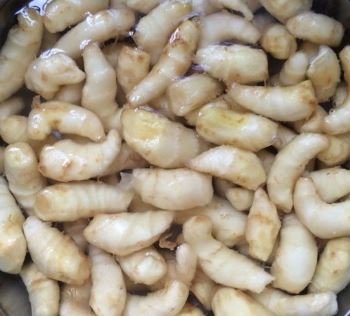 鲜生姜牙怎么腌制