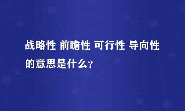 战略性 前瞻性 可行性 导向性 的意思是什么？