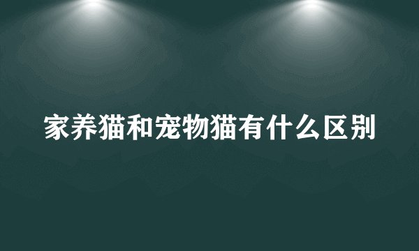 家养猫和宠物猫有什么区别
