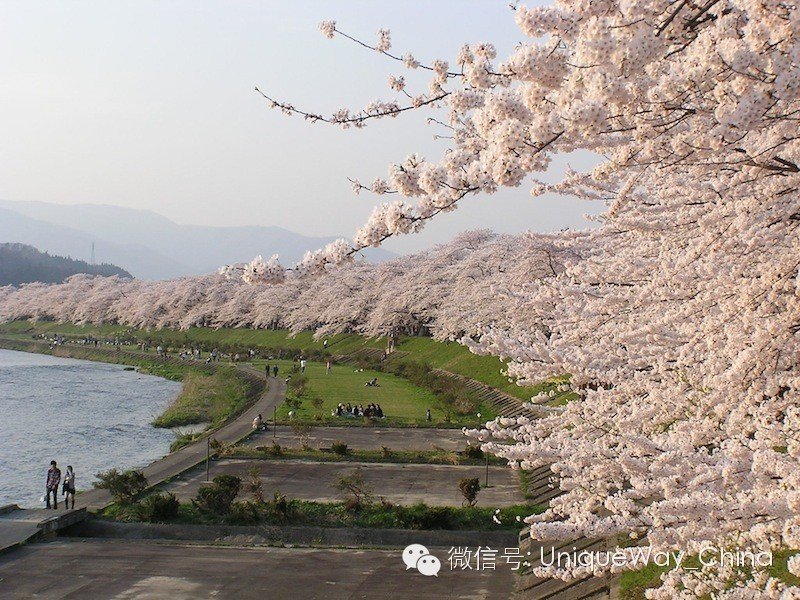 去日本旅行需要花多少钱?