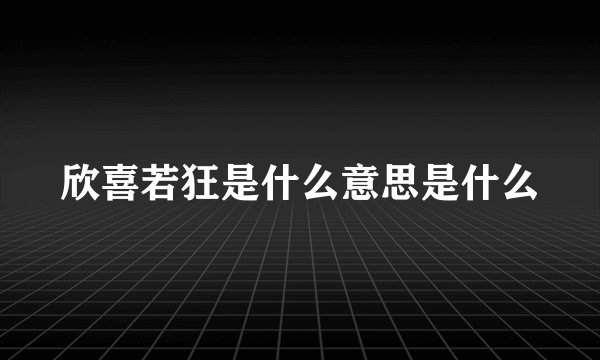 欣喜若狂是什么意思是什么