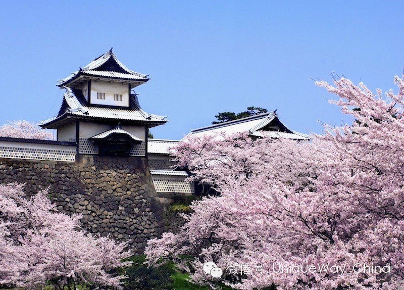 去日本旅行需要花多少钱?