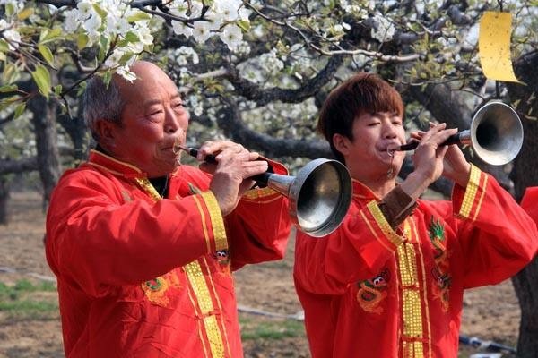 《百鸟朝凤》曲调很欢快，为何用于丧事？
