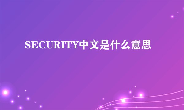 SECURITY中文是什么意思