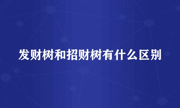 发财树和招财树有什么区别