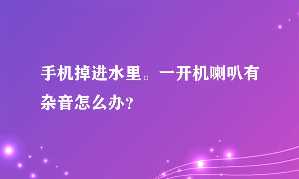 手机掉进水里。一开机喇叭有杂音怎么办？