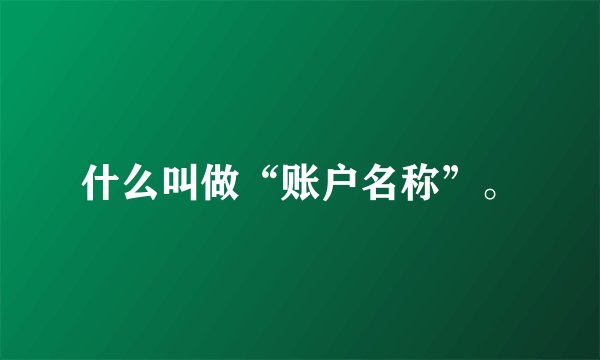 什么叫做“账户名称”。