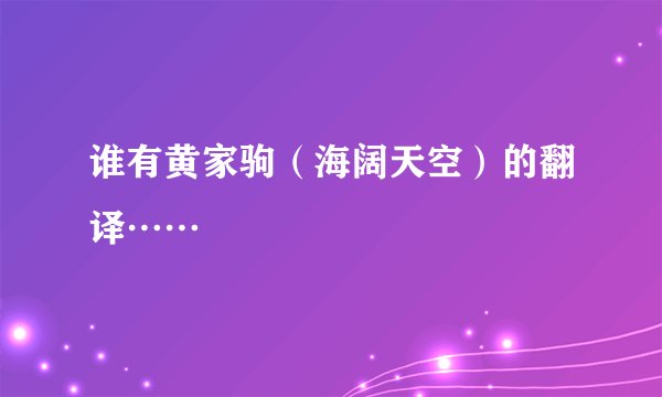 谁有黄家驹（海阔天空）的翻译……